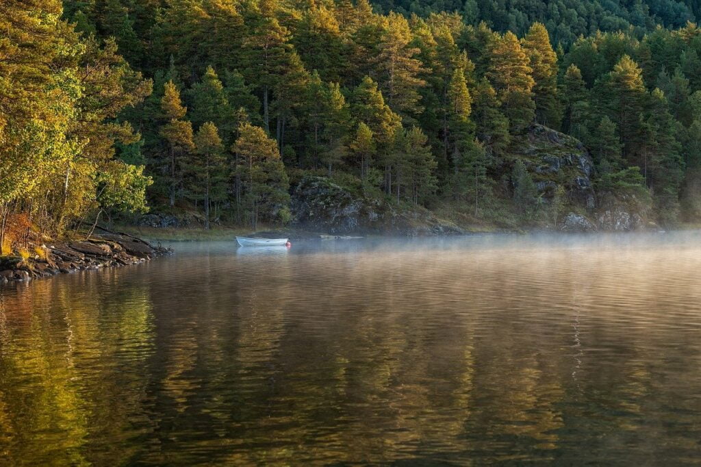 boat, lake, trees-8332114.jpg